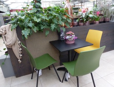 Gartencenter Hilgert | Café