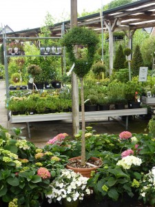 Gartencenter Hilgert | Baumschule und Stauden