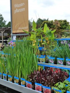 Gartencenter Hilgert | Baumschule und Stauden